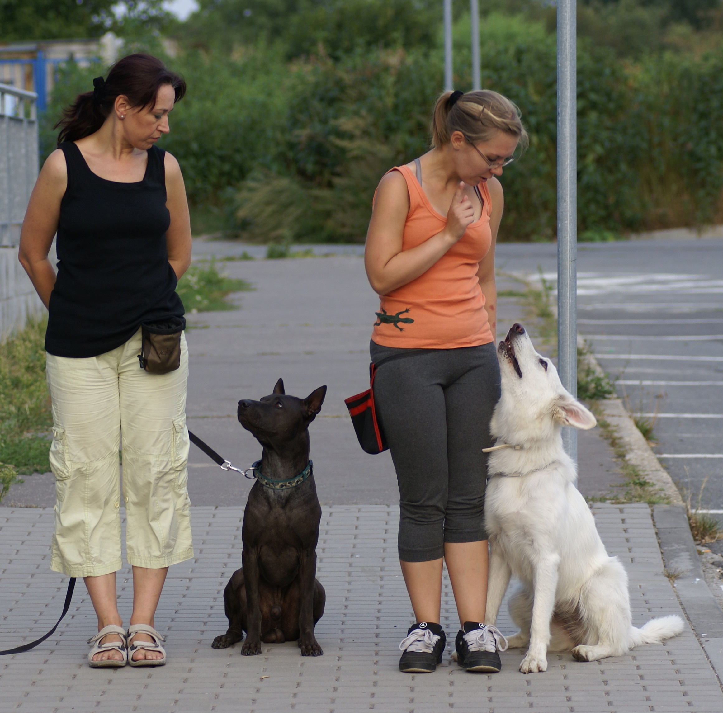 DSC09478a